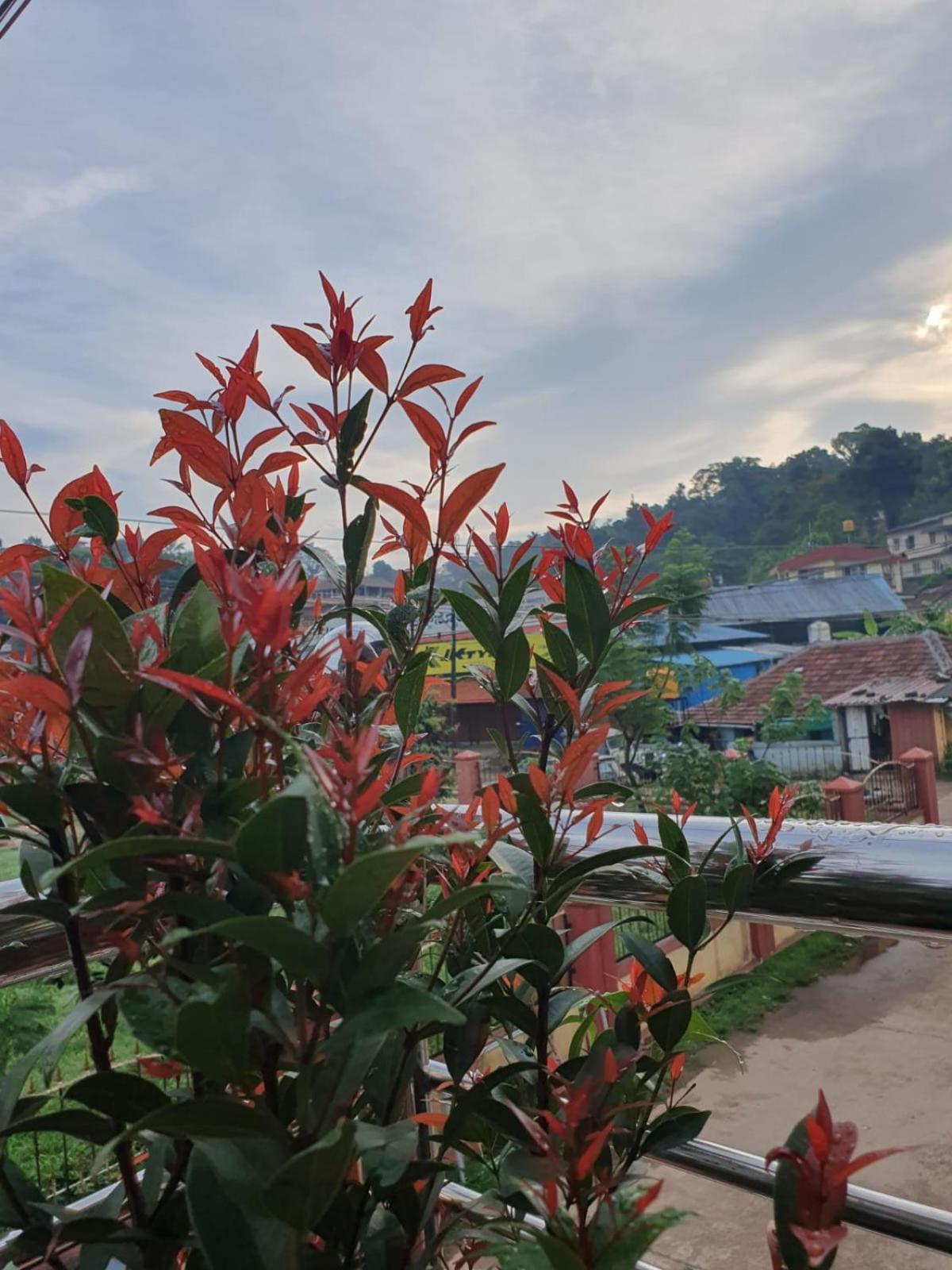 Varam Homestay Madikeri Exterior foto